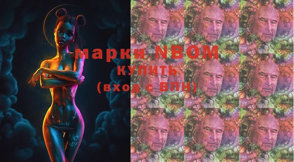 прущие грибы Нязепетровск