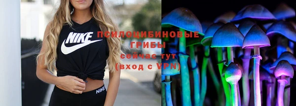не бодяженный Алексин
