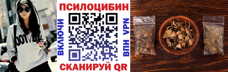 как найти наркотики  Карачаевск  Галлюциногенные грибы GOLDEN TEACHER 