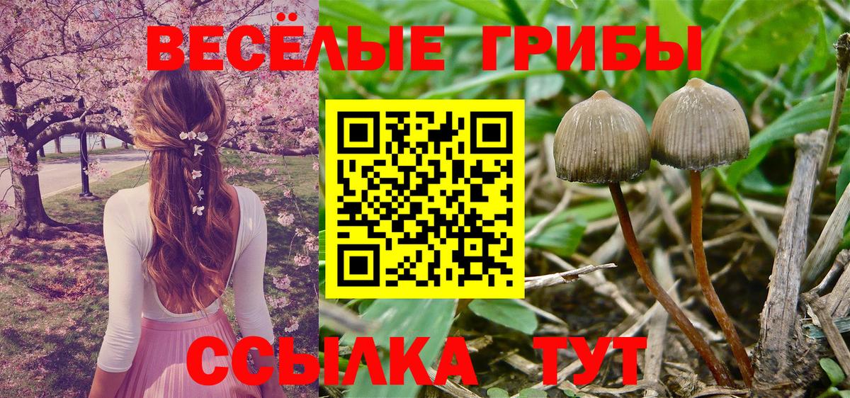 Галлюциногенные грибы ЛСД  Вход с VPN  Карачаевск 